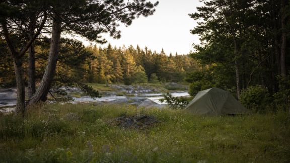 Comment repérer les coins nature préservés pour un bivouac authentique