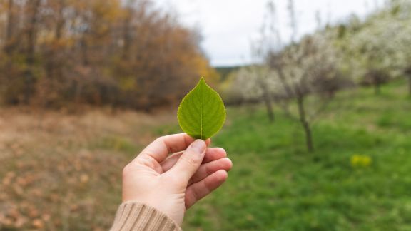 Vacances nature : sélectionner un site adapté selon la saison