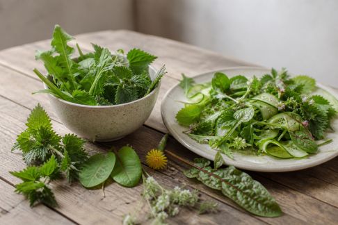 Herbes sauvages comestibles : comment les utiliser dans vos repas