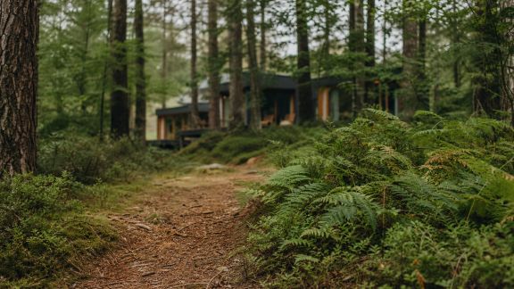 Où vivre une immersion totale en forêt sans s'éloigner des commodités
